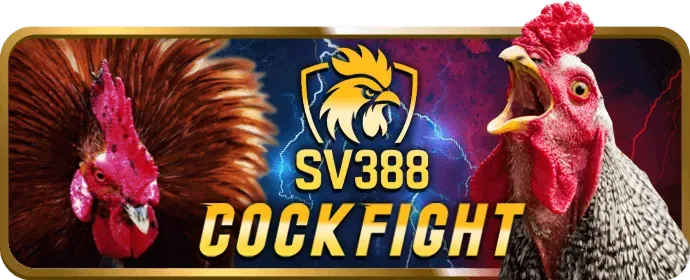 Cá cược tennis tại go8 plus
